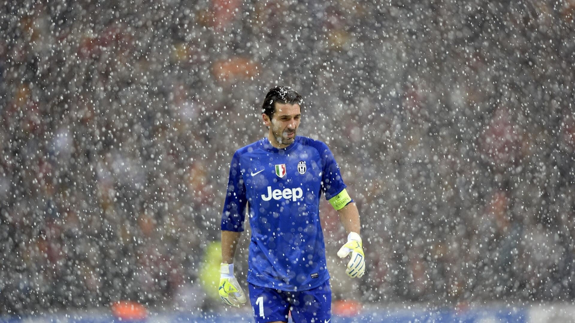 德甲球场基础设施升级对观众满意度影响，德甲的球场